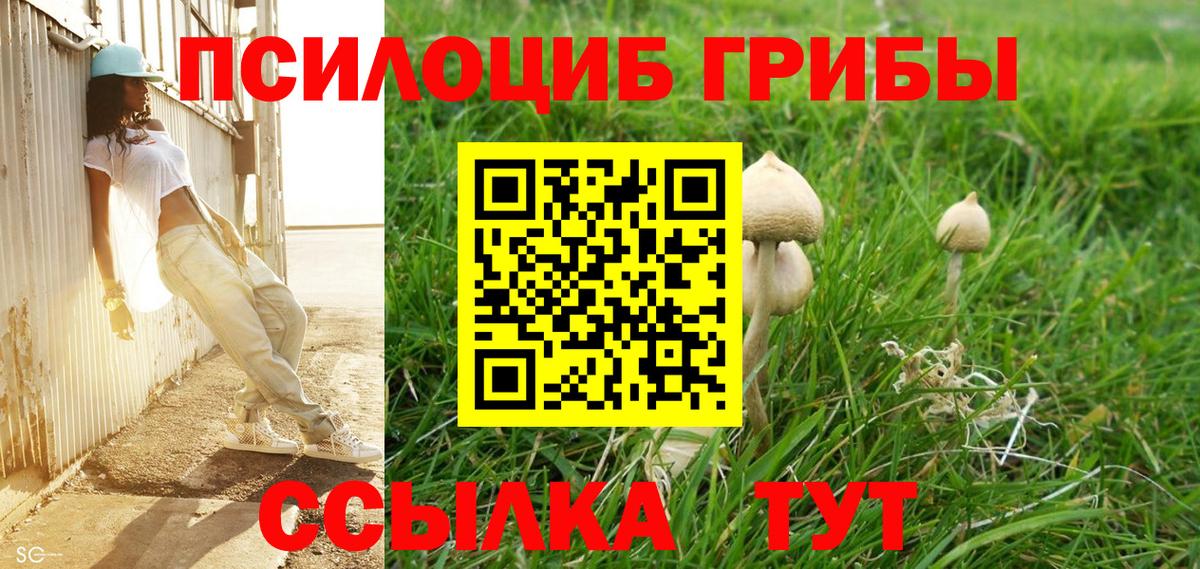 Галлюциногенные грибы Psilocybe  Вход с VPN  Фролово  Галлюциногенные грибы Psilocybe 